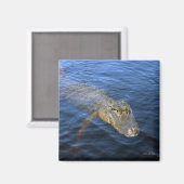 Gator Magnet (Recto/Verso)