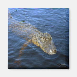 Gator Magnet