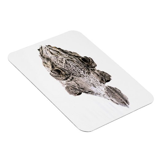 Gator Magnet (Côté Droit)