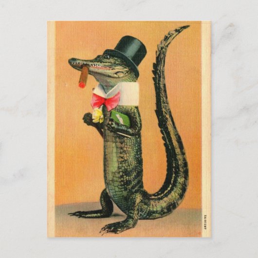 Gator met hoge hoed briefkaart (Voorkant)