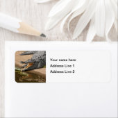 Gator Portret met Mond Wide Open Etiket (Insitu)