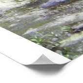 Gator Poster (Hoek)