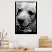 GATOR POSTER (Keuken)