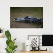 Gator Resting Poster -36x24 -andere beschikbare fo (Thuiskantoor)