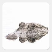 Gator Sticker (Voorkant)