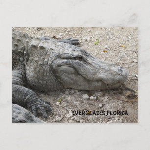 Gator voor glimlachen briefkaart