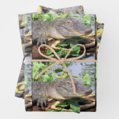 Gator Wrapping Papier Bladen - 3 Design Set Inpakpapier Vel (In situ)