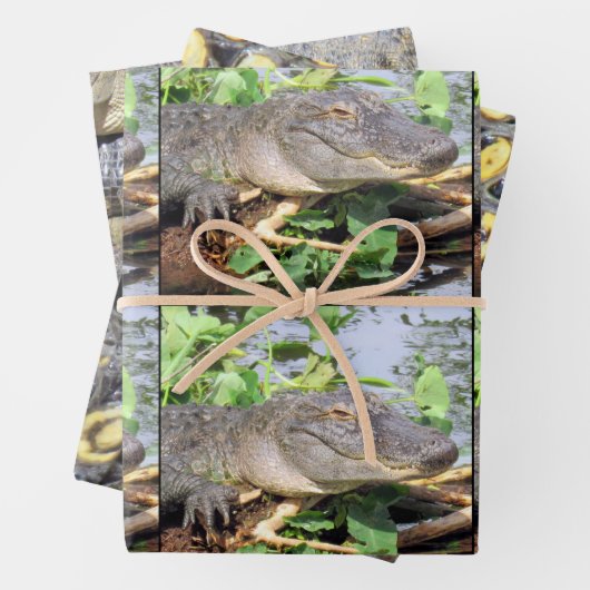 Gator Wrapping Papier Bladen - 3 Design Set Inpakpapier Vel (In situ)