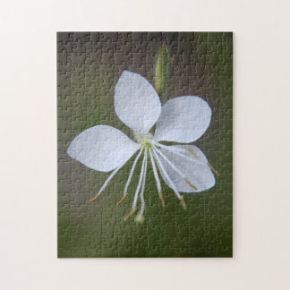 Gaura lindheimeri - Whirling Butterflies Legpuzzel
