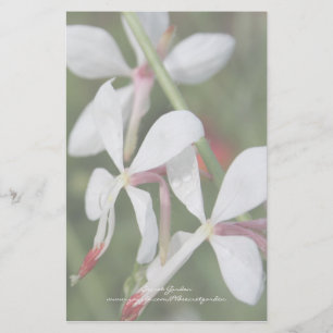 Gaura - Papeterie personnalisée