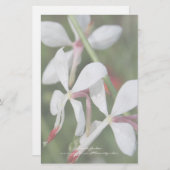 Gaura - Papeterie personnalisée (Devant / Derrière)