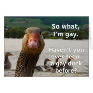 Gay Duck Pride