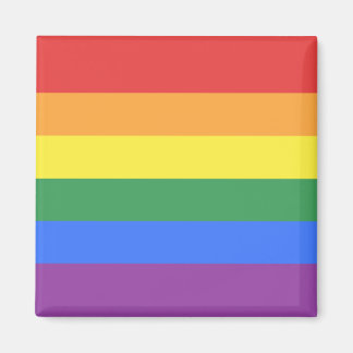 Gay Pride Flag Magneet
