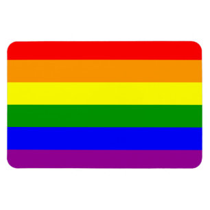 Gay Pride Flag/Regenboogvlag Magneet