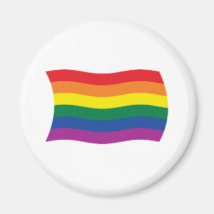 Gay Pride Movement Flag Magnet Magneet