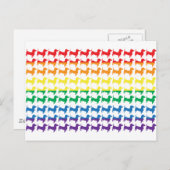Gay Pride Rainbow Dachshunds Briefkaart (Voorkant / Achterkant)