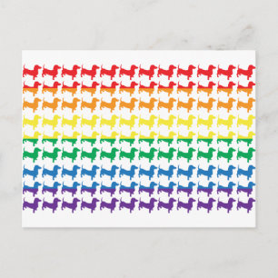 Gay Pride Rainbow Dachshunds Briefkaart