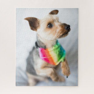 Gay Pride Rainbow Dog   Yorkshire Terrier Legpuzzel