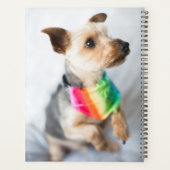 Gay Pride Rainbow Dog | Yorkshire Terrier Planner (Achterkant)