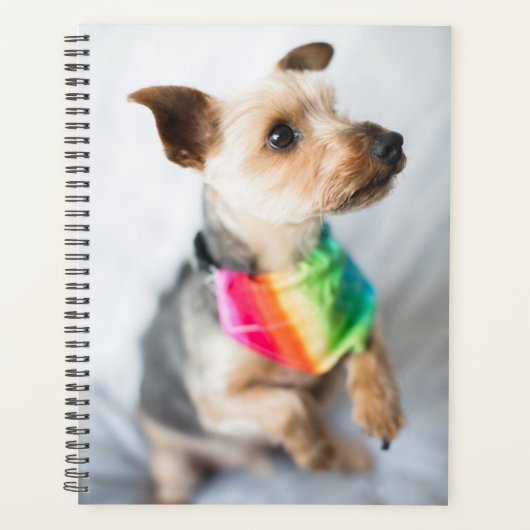 Gay Pride Rainbow Dog | Yorkshire Terrier Planner (Voorkant)