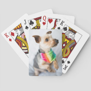 Gay Pride Rainbow Dog Yorkshire Terrier Pokerkaarten