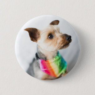 Gay Pride Rainbow Dog   Yorkshire Terrier Ronde Button 5,7 Cm