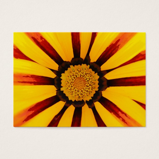 Gazania (Devant)