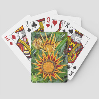 Gazania Bloem Speelkaarten