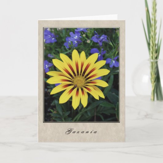 Gazania - BloemenReeks Kaart (Voorkant)
