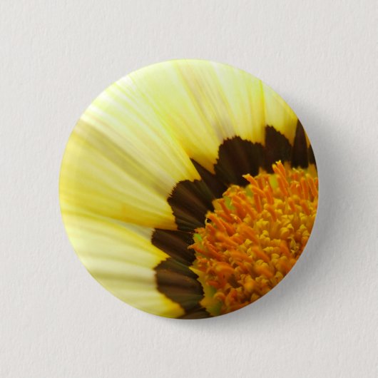Gazania Flower Button (Voorkant)