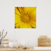 Gazania Poster (Keuken)