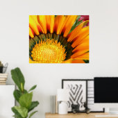 Gazanias Poster (Thuiskantoor)