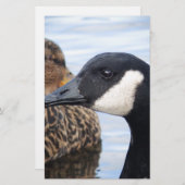 Gaze Briefpapier (Voorkant / Achterkant)