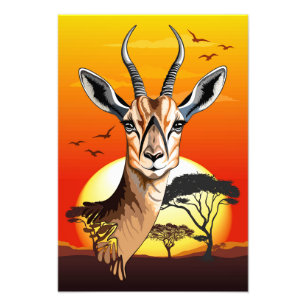 gazelle afrikaanse antilope wild dier foto afdruk