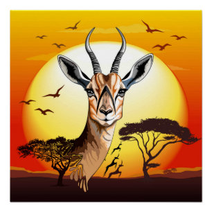 gazelle afrikaanse antilope wild dier perfect poster