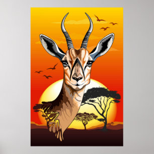 gazelle afrikaanse antilope wild dier poster