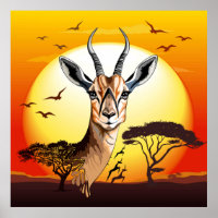 gazelle afrikaanse antilope wild dier