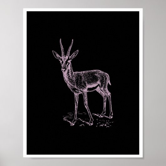 Gazelle Deer Poster (Voorkant)