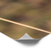 Gazelle Graze Poster (Hoek)