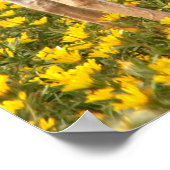 Gazelle in de weide poster (Hoek)