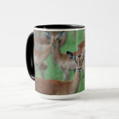 Gazelle Mok (Voorkant links)