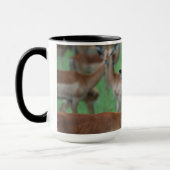 Gazelle Mug (Gauche)