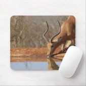 Gazelle Muismat (Met muis)