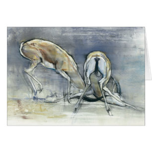 Gazelles de sable 2009 2