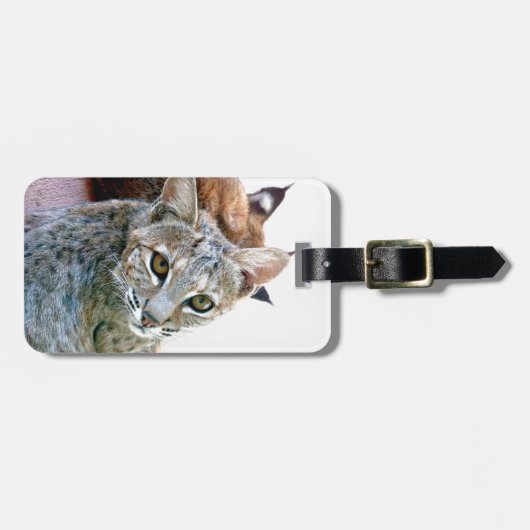 Gazely Stare | Label van Bobcat-bagage Bagagelabel (Voorkant horizontaal)