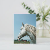 Gazing Dapped Grey Briefkaart (Staand voorkant)