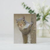 Gazing Squirrel Briefkaart (Staand voorkant)
