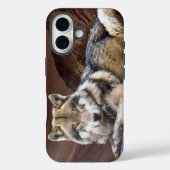 Gazing Wolf Apple iPhone 16 Hoesje (Achterkant)
