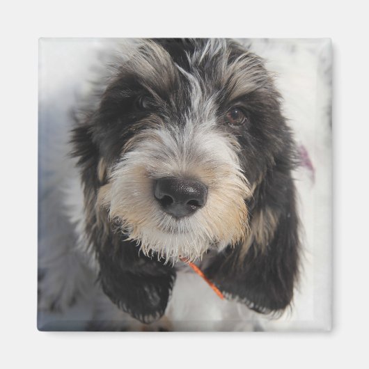 GBGV Puppy Magneet (Voorkant)