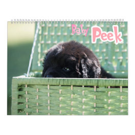 GCH Notta Beren prikkelde mijn interesse Kalender